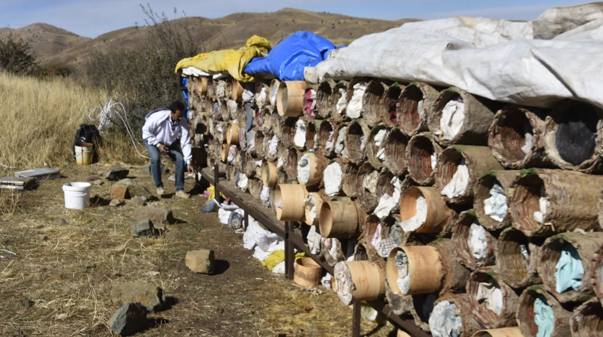 Bitlis’in Altın Ödüllü Karakovan Balında Hasat Zamanı: Rekolte ve Kalite Zirvede